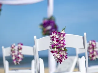 Dream Hi Weddings
