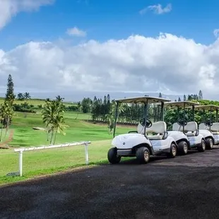 Newly Purchased Golf Carts Available for Rent