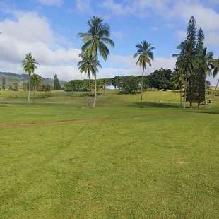 The course has improved dramatically. Amazing!