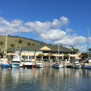 Maalaea Harbor in Maui offers both sportfishing and bottom fishing charters. Call Hawaii Deep Sea Fishing today and book your fishing trip.