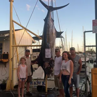 Just caught a 694 lbs Blue Marlin in Oahu.