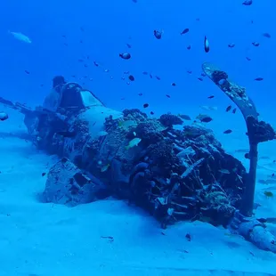 WWII Corsair plane wreck in 1945