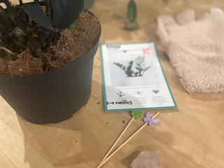 Greendigs Design Studio