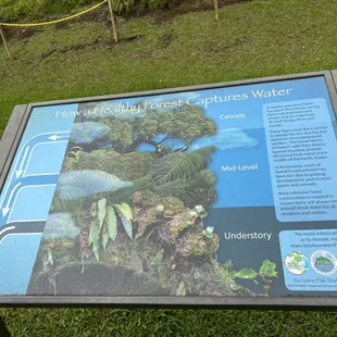 Learn something interesting