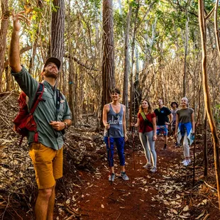 Interpretive guides share their knowledge of the flora, fauna and Hawaiian culture.