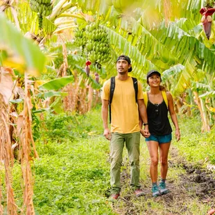 Hawaii Forest &amp; Trail Oahu Farms to Forest Tour