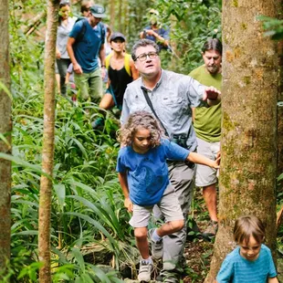 Hikes for families with Hawaii Forest &amp; Trail.