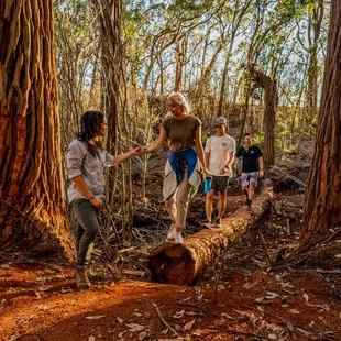 Venture into the woods with our interpretive guides.