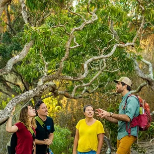 Discover the beauty of Oahu as you hike Palehua.