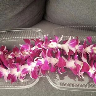 Orchid Lei