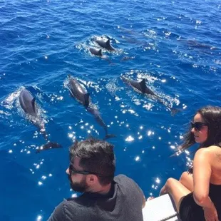Spinner dolphins playing near the boat.