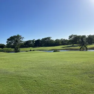 Sun and golf