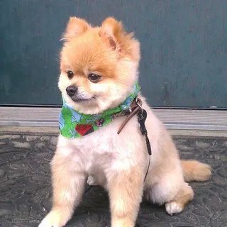 Noel M.