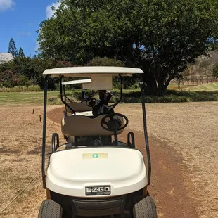 Golf cart