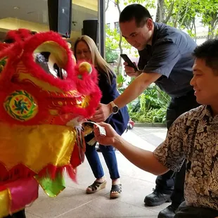 Feeding the cubbie lion