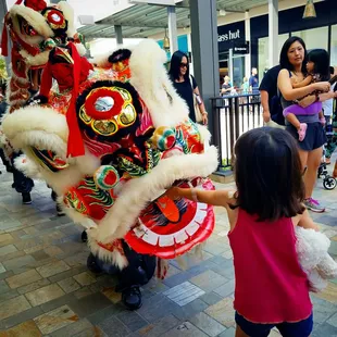 Girl feeding lion