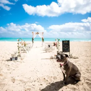 Beach wedding package