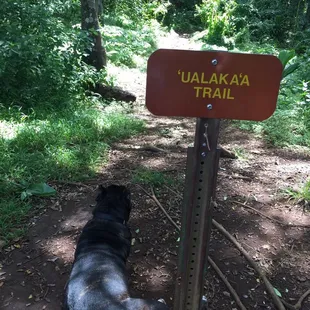 The trail connects to tantalus!