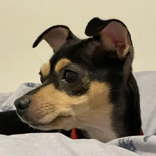 Charlie B.