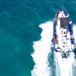 Looking for a glass bottom boat tour? You&apos;ll love the easy water viewing of our tube seating around the boat! Fish, Turtles, Oh My!