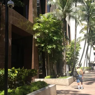 go up the walkway past Aloha Salads on Hotel Street into this doorway