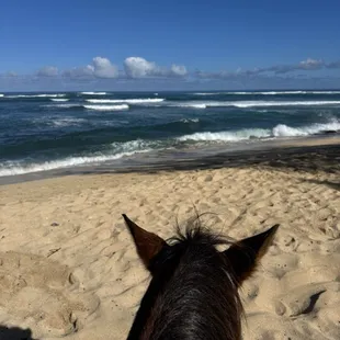 Taking a quick moment to enjoy the beautiful views