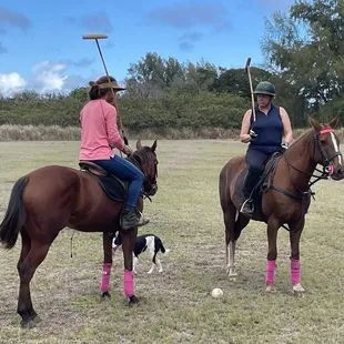 Hawaii polo academy