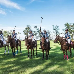 Play polo at Hawaii Polo Club on Sundays!