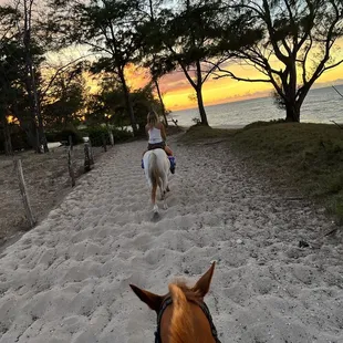 Following Phoebe along the shore.