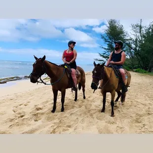 Beach horses