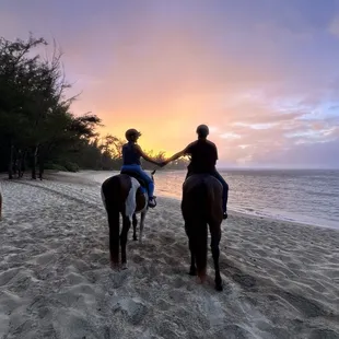 Sunset horseback ride  Oahu North Shore