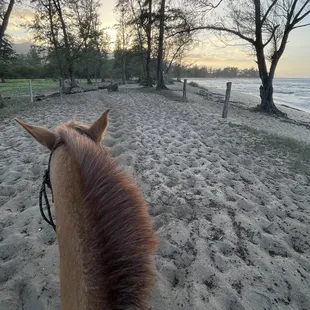 Sunset ride