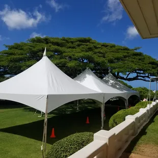 Warner Peak Tent ~ 20x60 ~ Honolulu Museum of Art ~ Spalding House