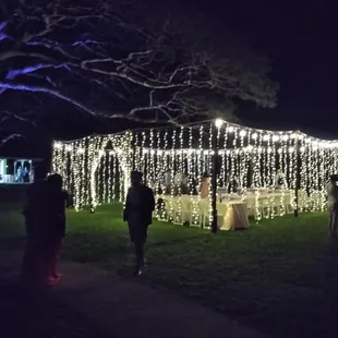 Hawaii Tents &amp; Events NEW
stunning Curtain of Lights!