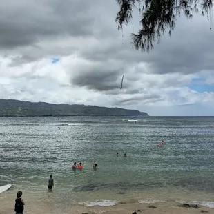 Turtle snorkeling adventure