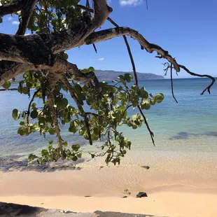 The beach where we snorkeled