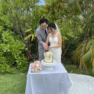 Cake cutting