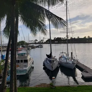 A view to be enjoyed