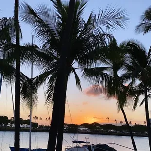 outside, burritos and wraps