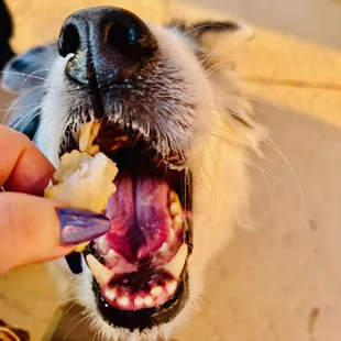 to go - garlic mahi - (She's MUNCHING)