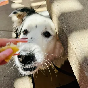 about to enjoy maui maui