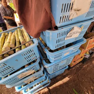 a variety of baskets of bananas