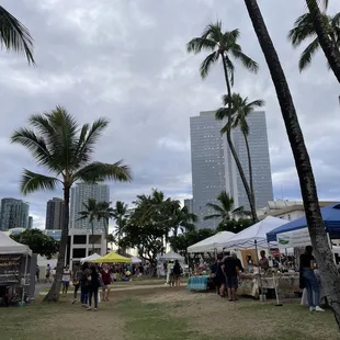 palm trees and tents in a park