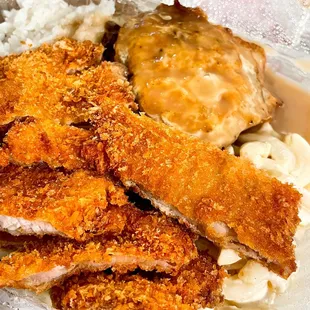 Chicken Katsu &amp; Loco Moco Regular Plate