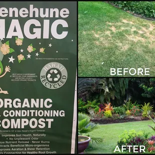 BEFORE &amp; AFTER using Soil Condtioner