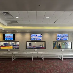 Spectator seating available at HITS!