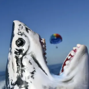 Awesome photo from the SD card