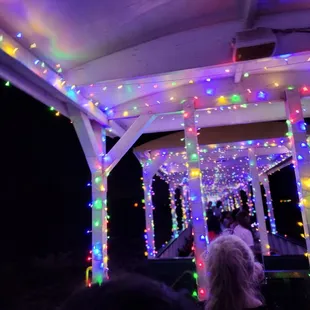 Such beautiful lights!!