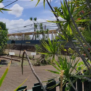 There is a tour lady on board. Ice cream shop at Ko'olina is closed(out of business)which the train stops for a short break.