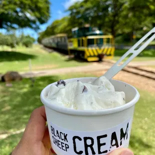 We stopped for ice cream at Black Sheep Ko Olina!